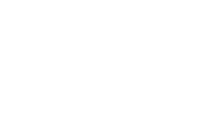 dell_logo_white